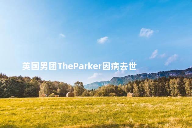 英国男团TheParker因病去世 英国男团THEPARKER因病去世